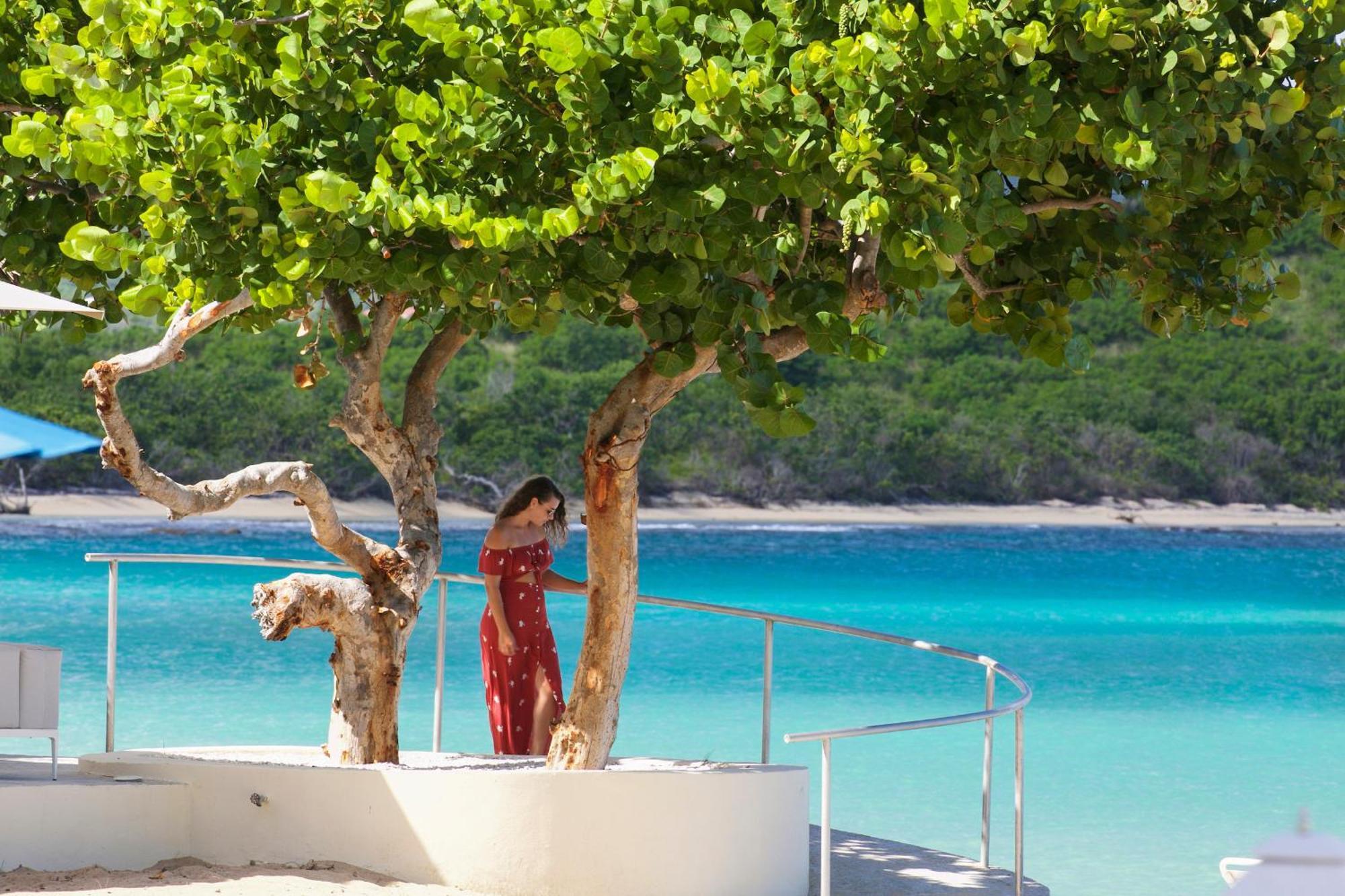 The Buccaneer Beach & Golf Resort Christiansted Dış mekan fotoğraf