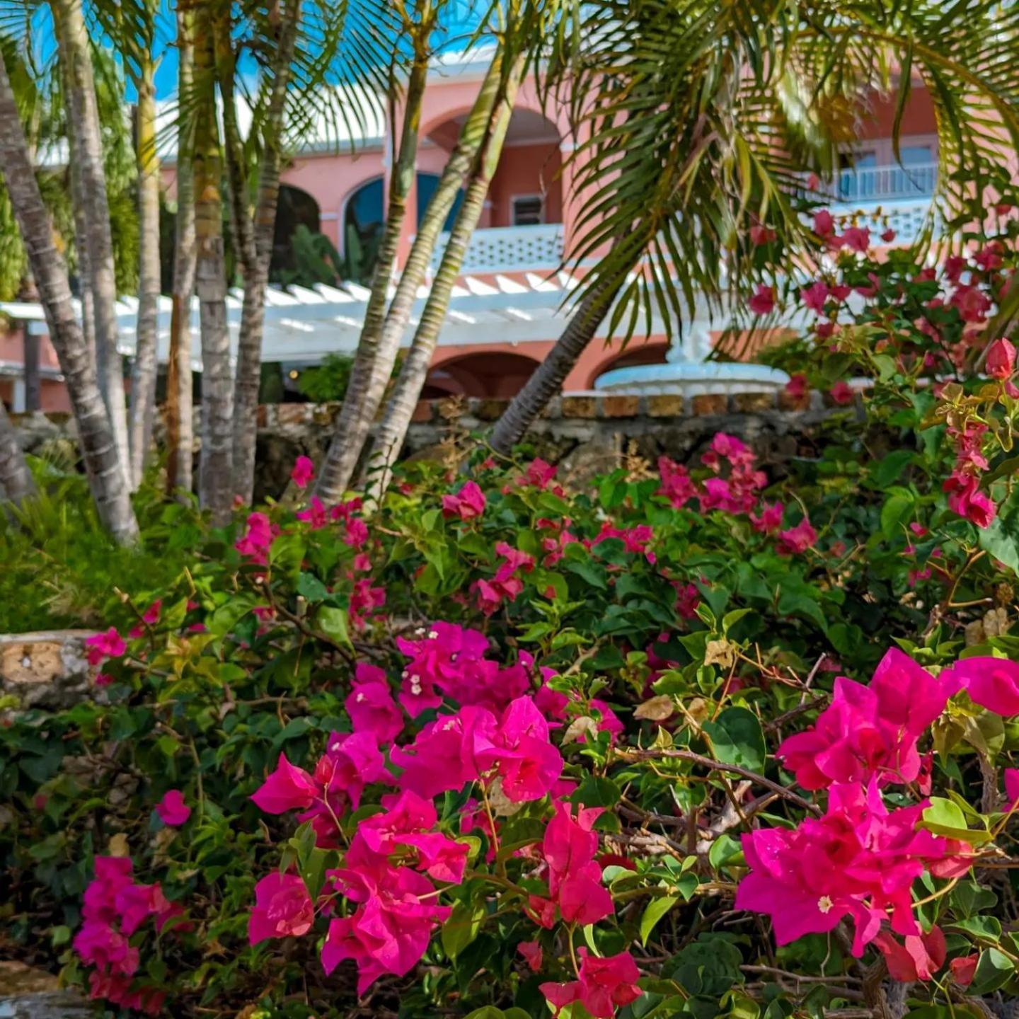 The Buccaneer Beach & Golf Resort Christiansted Oda fotoğraf